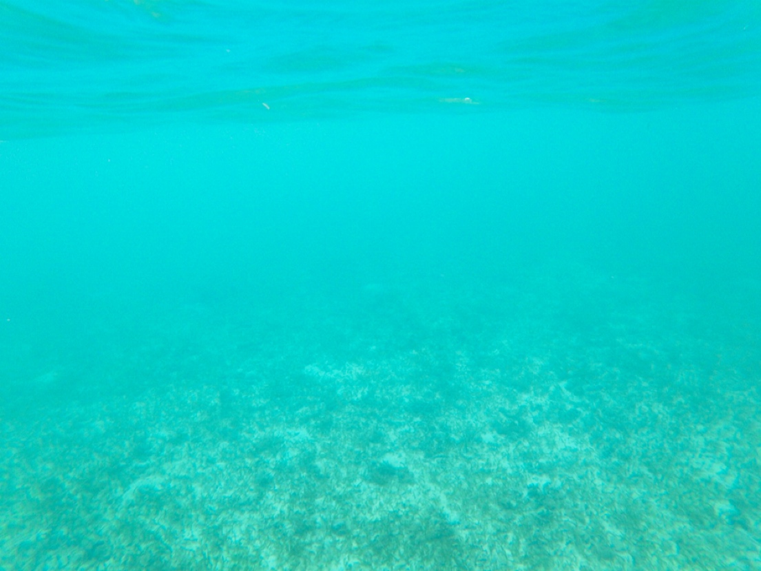 晴れからの一気に雨に… COCONUTS CLUB