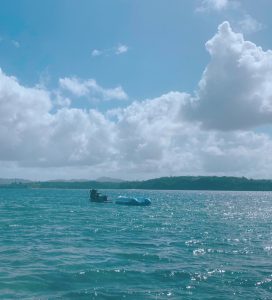 ほぼ海🌊